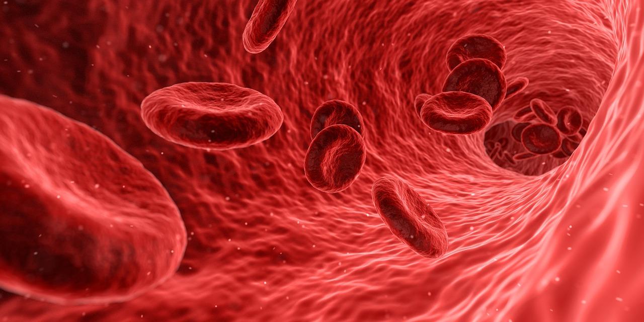 Engineering in-vitro derived megakaryocytes to use platelets as a drug delivery system.